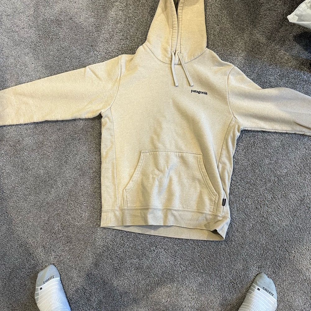 Men’s Patagonia Hoodie